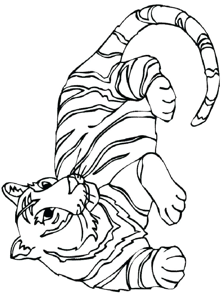 Cute Tiger Coloring Pages Cute Tiger Coloring Page Baby Lion 750x1000 Cute Tiger Coloring Pages Cute Tiger Coloring Page Baby Lion