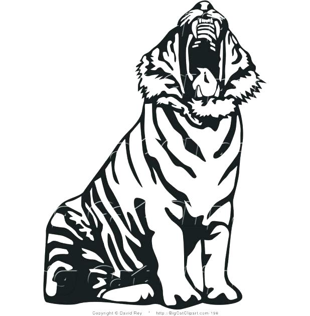 Cute Tiger Coloring Pages Cute Tiger Coloring Pages Cute Baby 618x630 Cute Tiger Coloring Pages Cute Tiger Coloring Pages Cute Baby