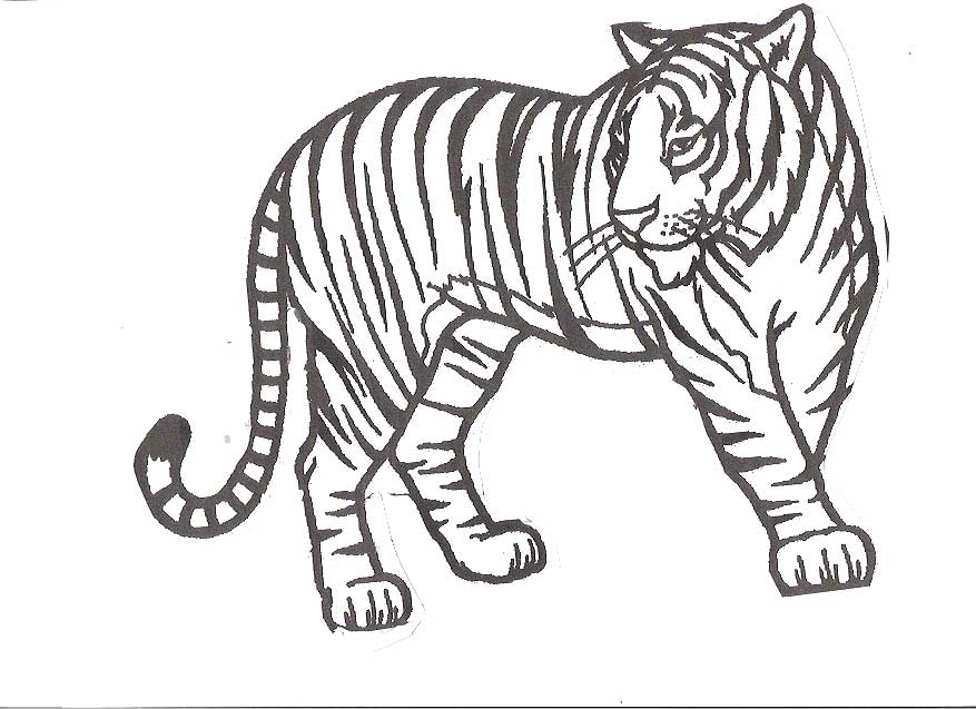 Cartoon Tiger Coloring Pages Page Image Clipart Images 877x637 Cartoon Tiger Coloring Pages Page Image Clipart Images