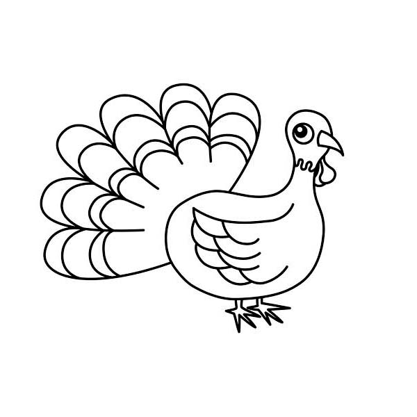 Lovely Thanksgiving Day Turkey In Cartoon Coloring Page 600x600 Lovely Thanksgiving Day Turkey In Cartoon Coloring Page