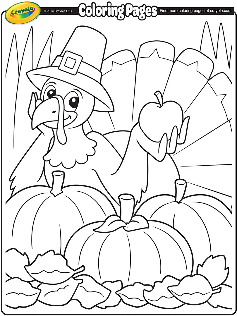 Thanksgiving Turkey Cartoon Coloring Page 810x1080 Thanksgiving Turkey Cartoon Coloring Page