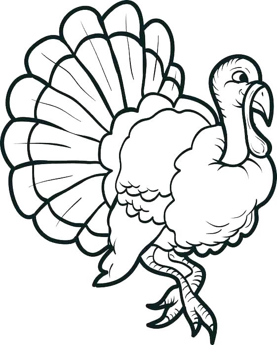 Turkey Coloring Pages For Preschoolers Coloring Pages Of A Turkey 561x700 Turkey Coloring Pages For Preschoolers Coloring Pages Of A Turkey