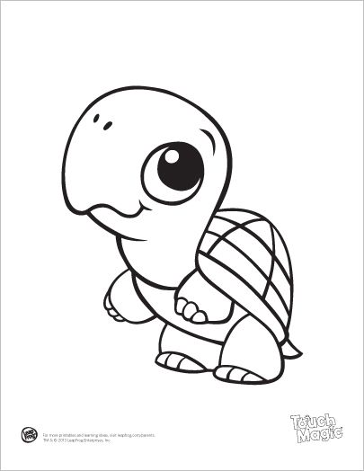 Cartoon Turtle Coloring Pages