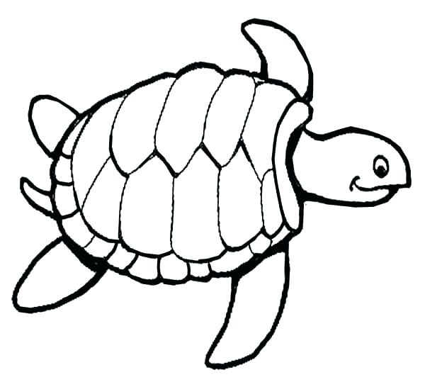 600x539 Crafty Design Ideas Cartoon Turtle Coloring Pages Turtle Coloring
