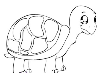 350x246 Cute Turtle Coloring Pages