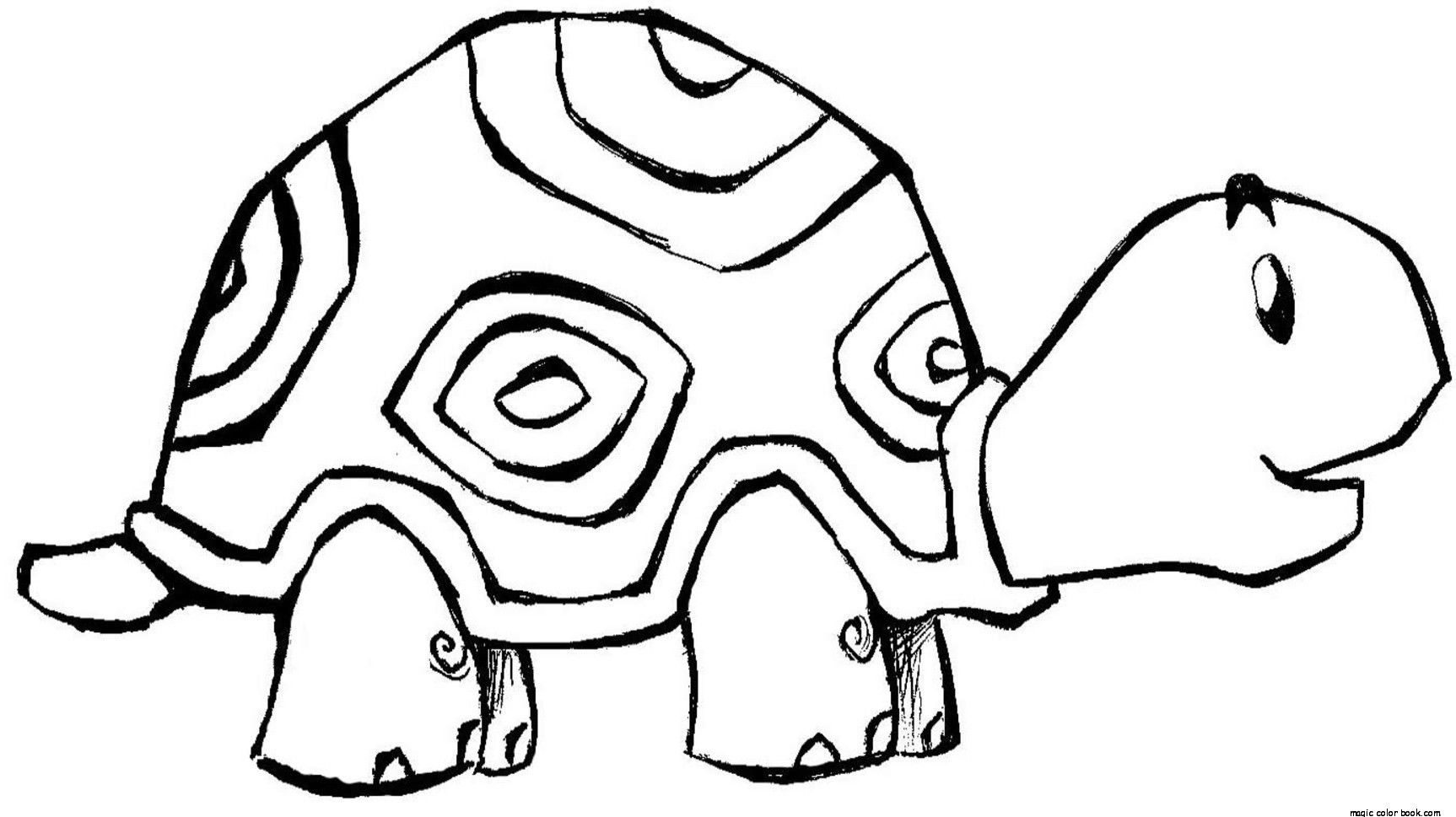1726x969 Turtle Coloring Pages Online