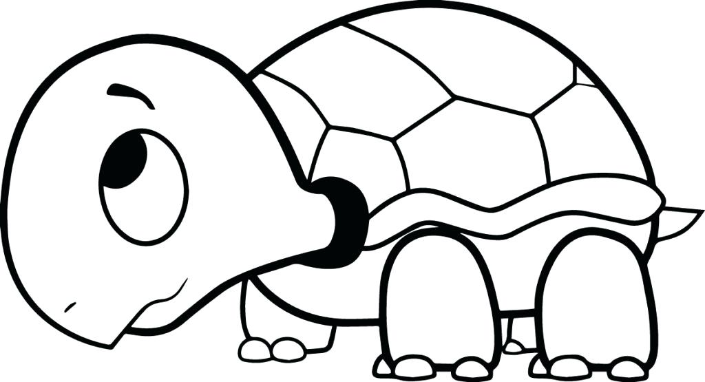 1024x555 Cartoon Turtle Coloring Pages 2