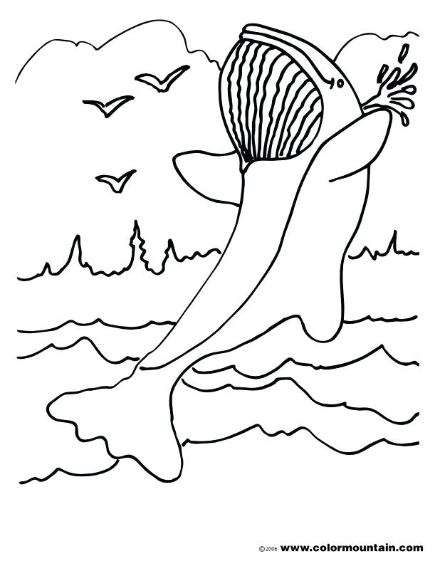 618x788 Orca Coloring Page Cartoon Whale Orca Whale Coloring Pages