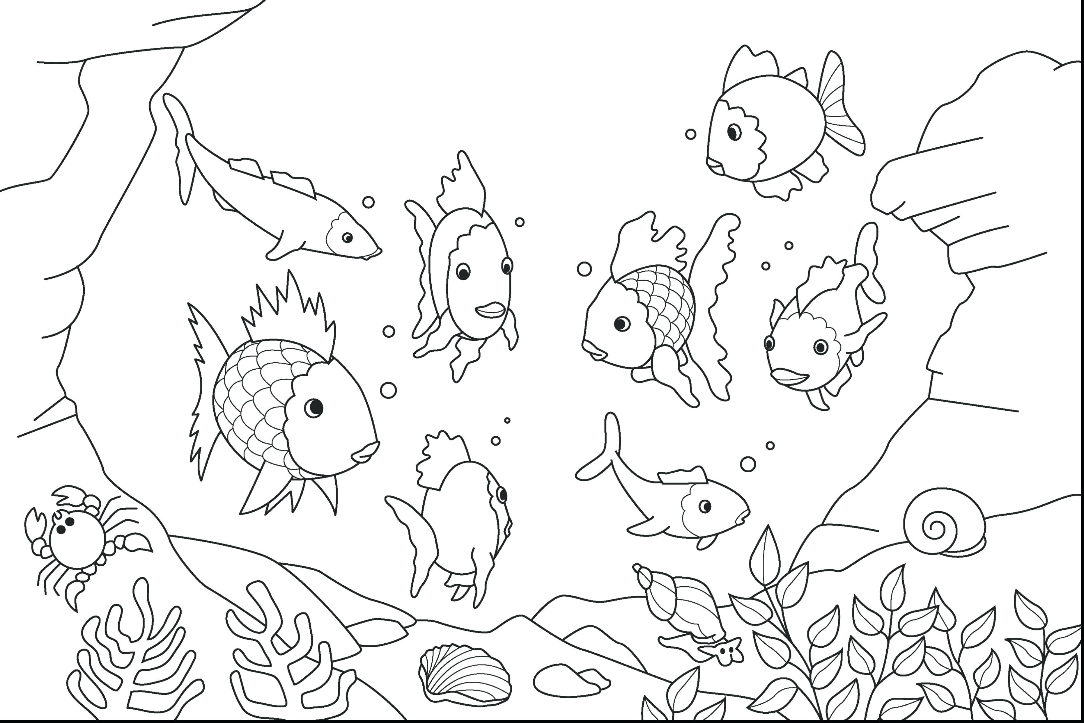 3724x2486 Orca Sea Animals Coloring Pages For Kids New Cartoon Whale Clipart