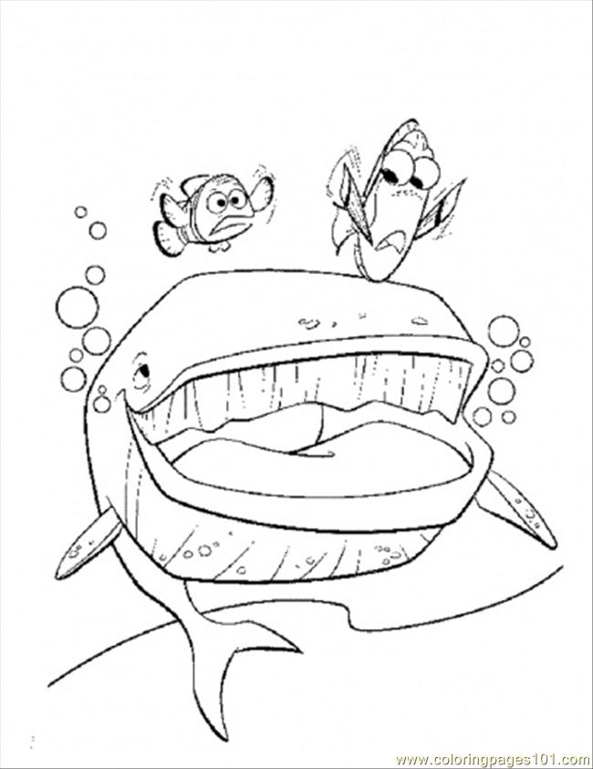 650x842 The Whale Coloring Page