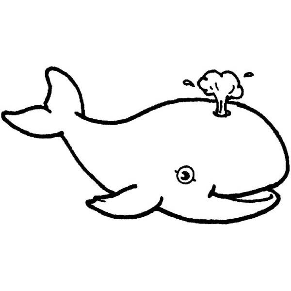 600x600 9 Whale Coloring Pages