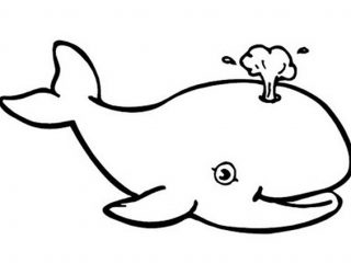 320x240 Whale Pictures To Color Smiling Killer Whale Coloring Page Netart