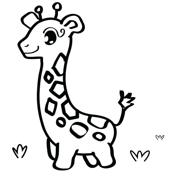 Zebra Coloring Pages Pdf Zebra Coloring Page Coloring Pages Zebra 700x723 Zebra Coloring Pages Pdf Zebra Coloring Page Coloring Pages Zebra