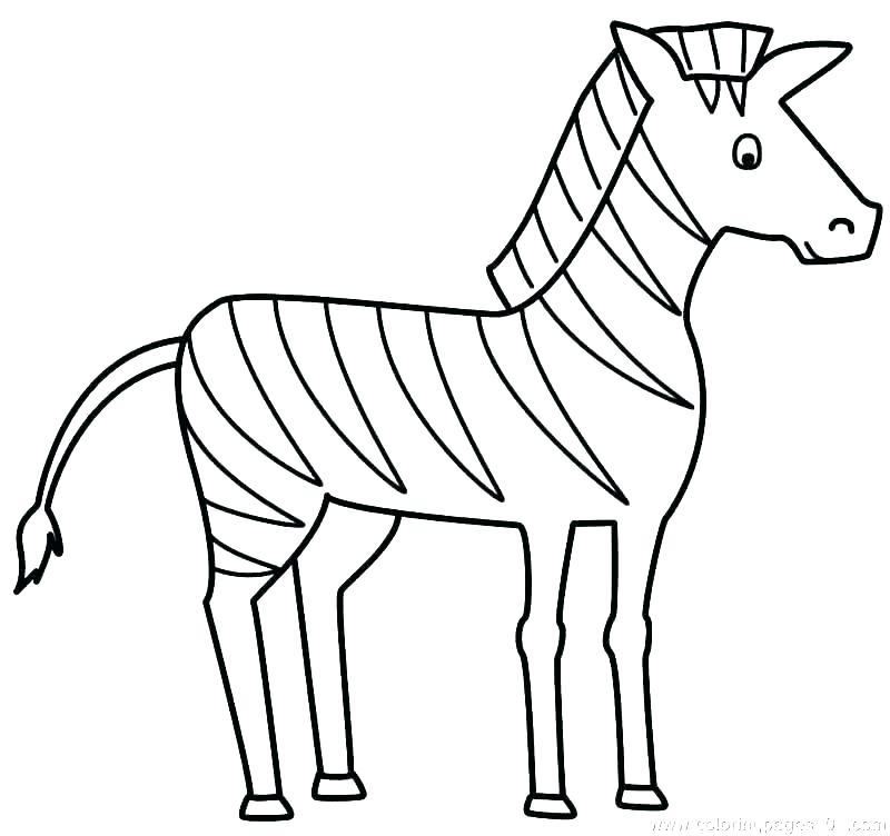 Baby Zebra Coloring Pages Mammal Coloring Pages Zebra Coloring 800x752 Baby Zebra Coloring Pages Mammal Coloring Pages Zebra Coloring