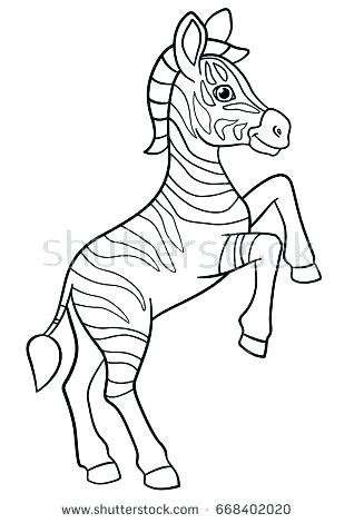 Baby Zebra Coloring Pages Marvellous Baby Zebra Coloring Pages 318x470 Baby Zebra Coloring Pages Marvellous Baby Zebra Coloring Pages