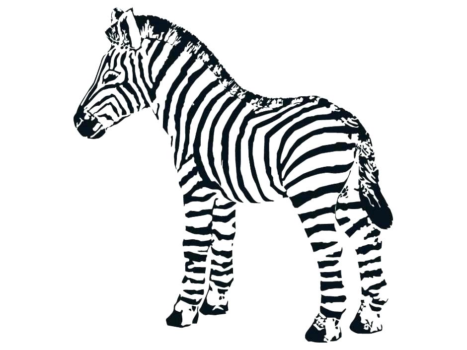 Zebra Coloring Pages 940x705 Zebra Coloring Pages