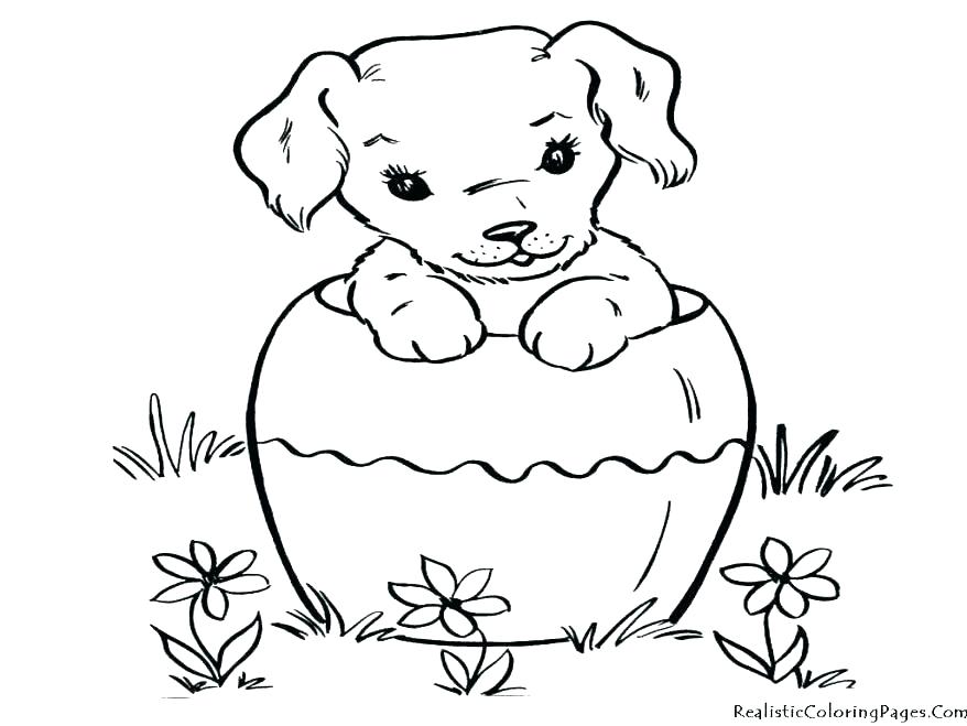 Cat And Dog Coloring Pages Dog Color Pages Cat Dog Coloring Pages 878x659 Cat And Dog Coloring Pages Dog Color Pages Cat Dog Coloring Pages