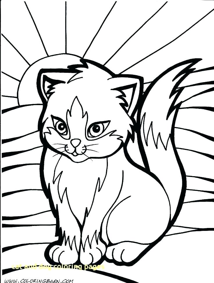 Dogs And Cats Coloring Pages Coloring Ideas Pro 736x972 Dogs And Cats Coloring Pages Coloring Ideas Pro