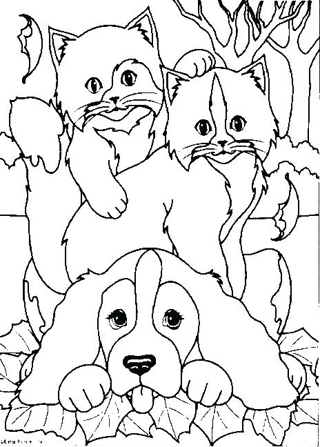 Cat And Dog Coloring Pages Dog Coloring Pages Free Free Printable 464x648 Cat And Dog Coloring Pages Dog Coloring Pages Free Free Printable