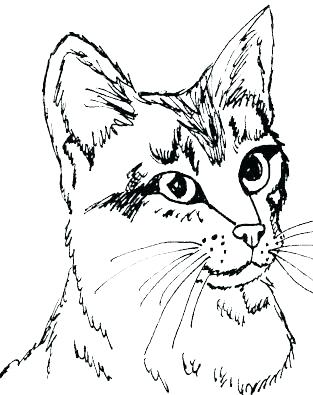 Coloring Pages Of Cats Free Cat Coloring Pages Packed With Kitten 313x395 Coloring Pages Of Cats Free Cat Coloring Pages Packed With Kitten