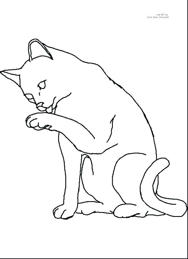 Cute Baby Kitten Coloring Page Pages Cat And Surprising Kids 618x850 Cute Baby Kitten Coloring Page Pages Cat And Surprising Kids