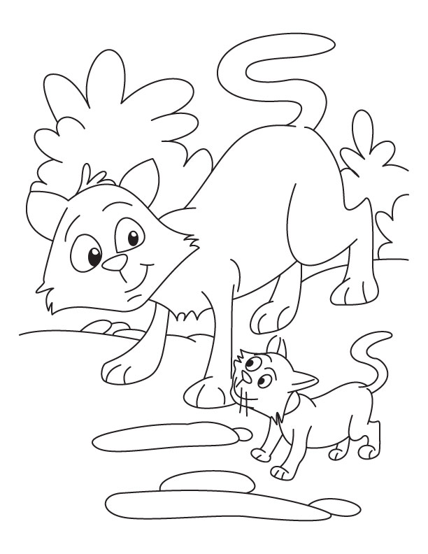 Cat And Kitten Coloring Page Great Cat And Kitten Coloring Pages 612x792 Cat And Kitten Coloring Page Great Cat And Kitten Coloring Pages
