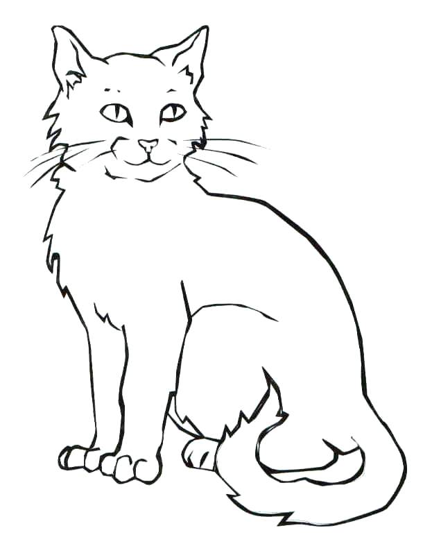 Cat And Kitten Coloring Pages at GetColorings.com | Free printable