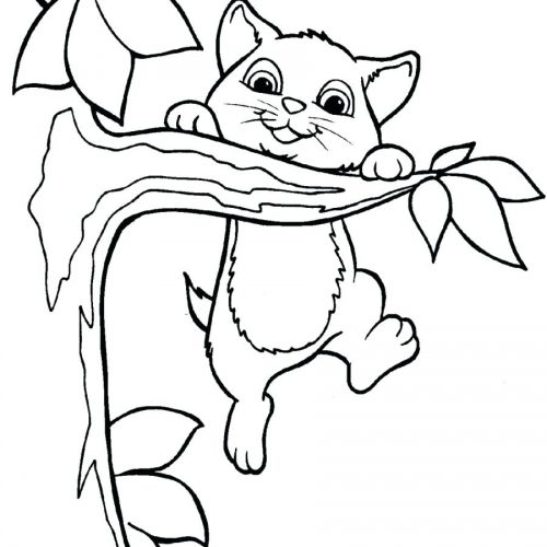 Coloring Pages ~ Kitten Coloring Pages Black Cat To Tiny Cute Free 500x500 Coloring Pages ~ Kitten Coloring Pages Black Cat To Tiny Cute Free