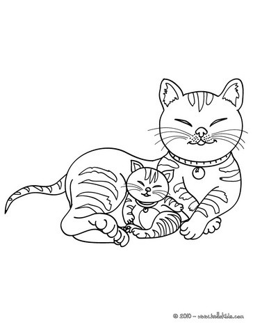 Cat And Kitten Coloring Pages 364x470 Cat And Kitten Coloring Pages