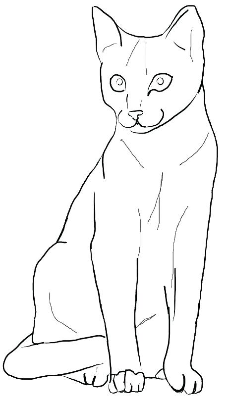462x812 Cat And Mouse Coloring Pages Free Printable Sheets For Kids