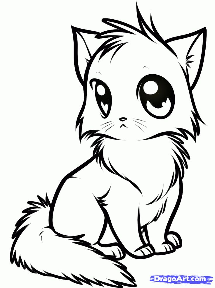 736x984 Anime Cat Coloring Page Timykids