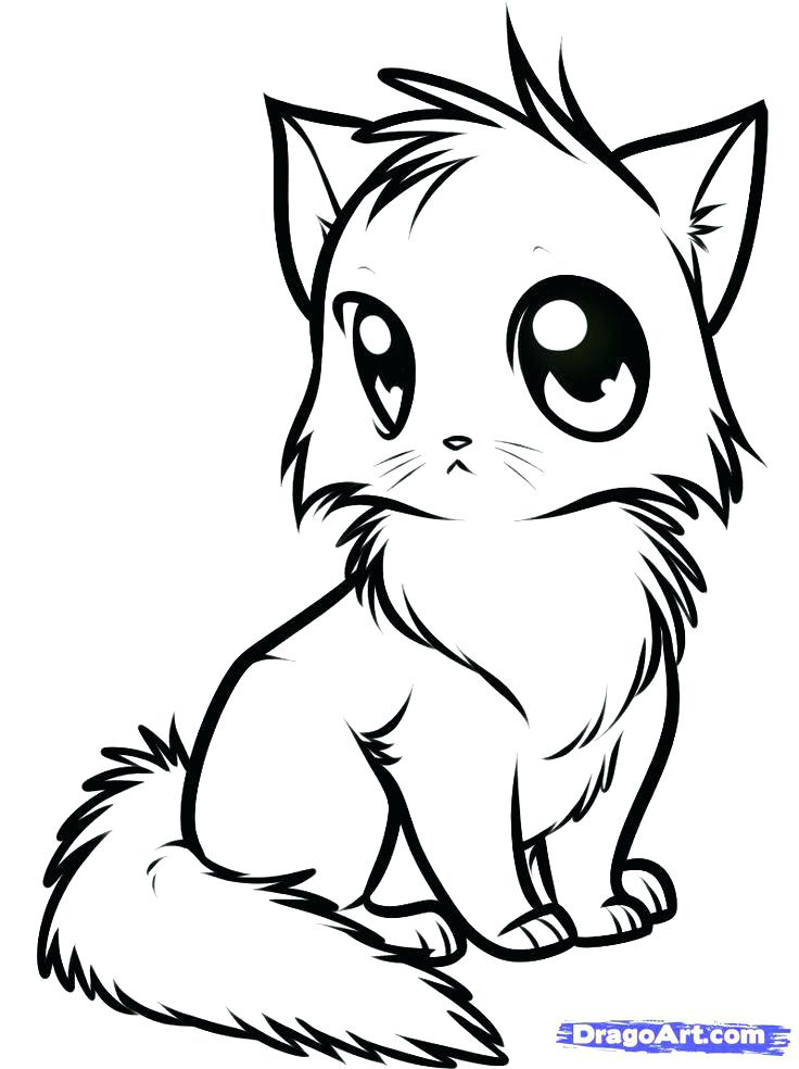 Cute Cat Coloring Pages Cute Baby Cat Coloring Pages Cat Coloring 736x984 Cute Cat Coloring Pages Cute Baby Cat Coloring Pages Cat Coloring