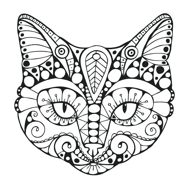 640x640 Cat Coloring Pages For Adults Cat Face Coloring Pages For Adults