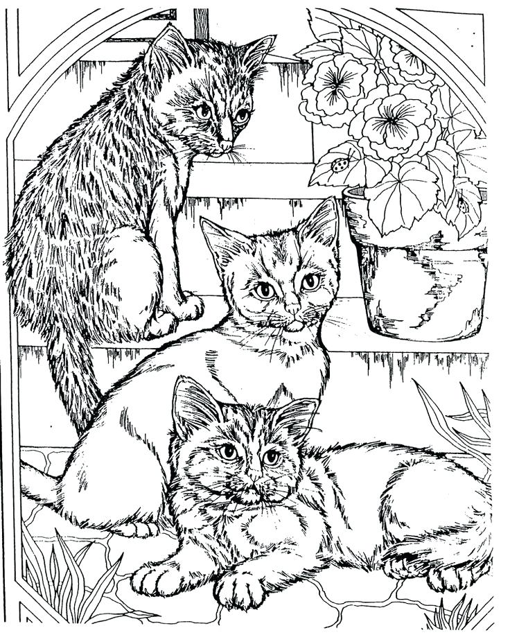 736x916 Printable Cat Coloring Pages For Adults Cool Adult Coloring Pages