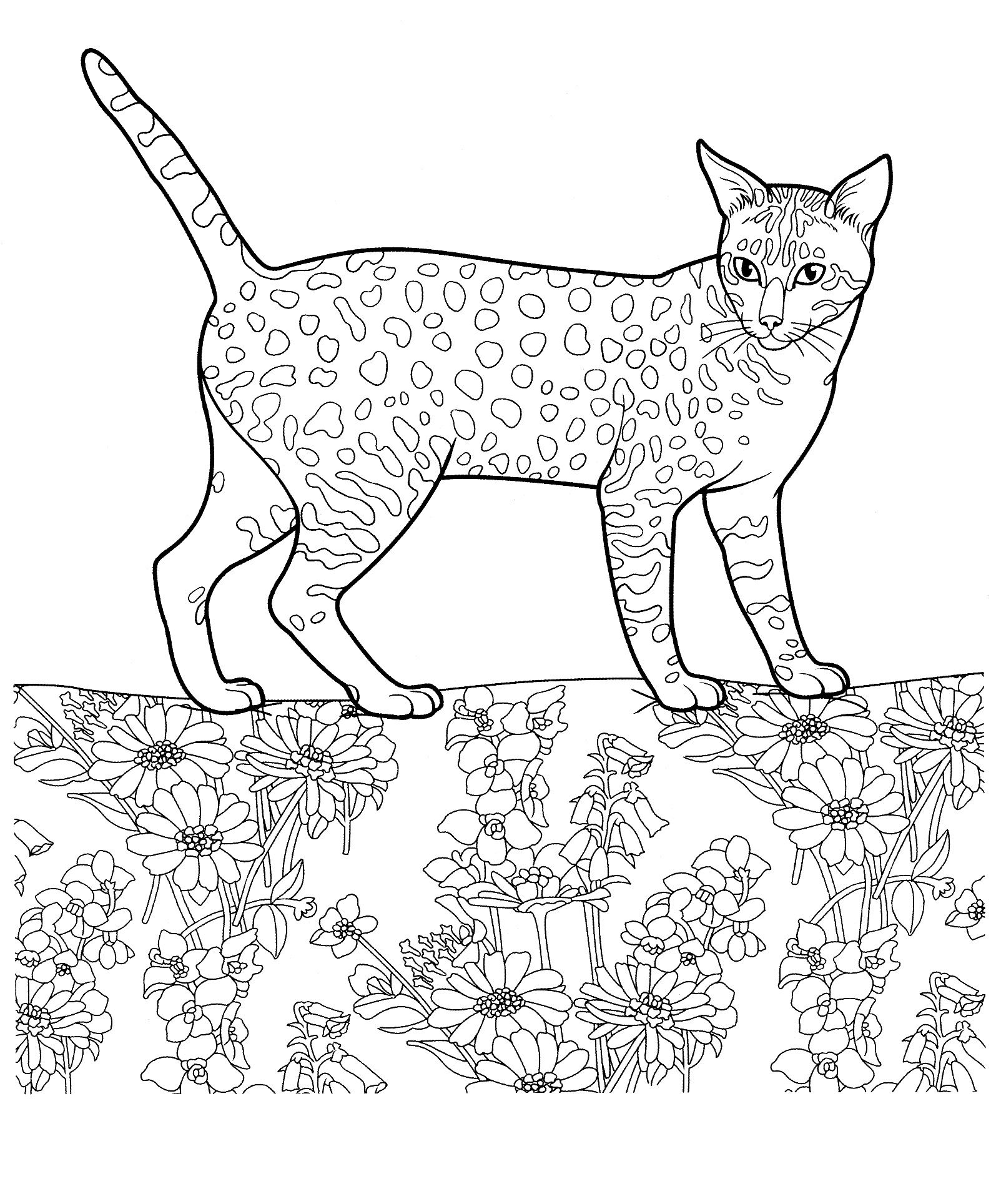 1587x1928 Cat 25 Cats Coloring Pages For Teens And Adults