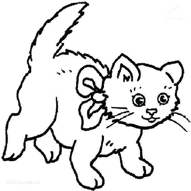 612x614 Cat And Dog Coloring Pages With Cat Coloring Pages To Print