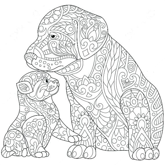 570x570 Dog And Cat Coloring Pages Dog And Cat Coloring Pages Bolt Dog Cat