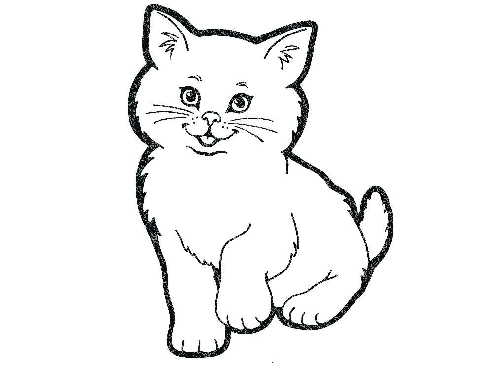 1004x753 Cats Coloring Pages Lovely Warriors Cats Coloring Pages Kids Cat