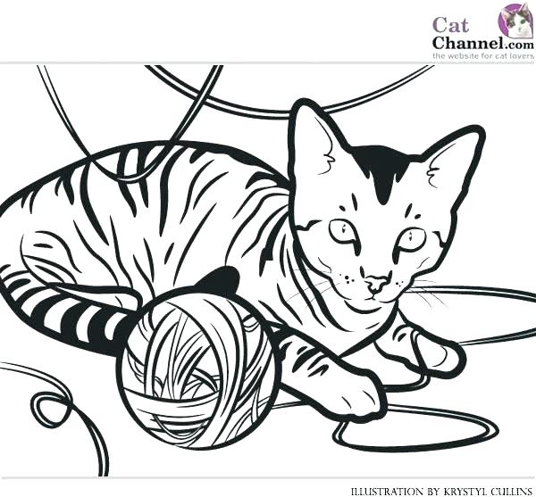 600x557 Big Cat Coloring Pages