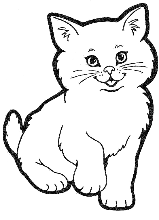 552x761 Fresh Design Cat Coloring Pictures Printable Pages Preschool