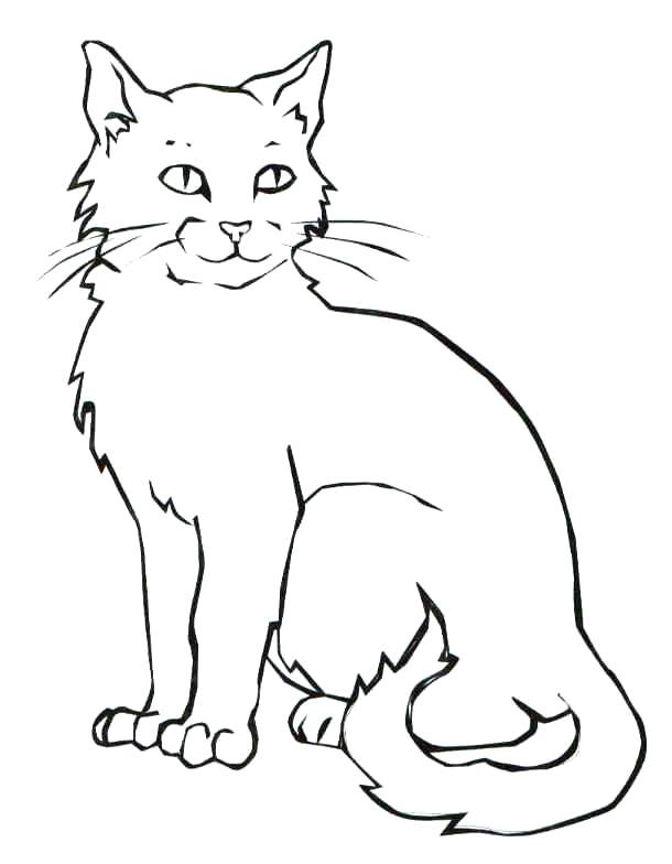 610x784 Halloween Cats Coloring Pages Cat Coloring Page Coloring Page
