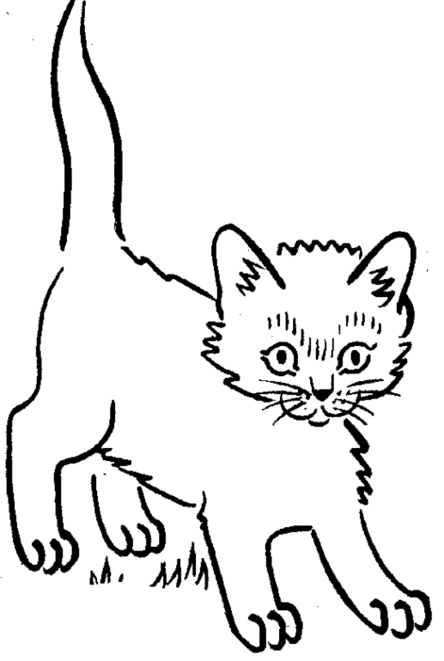 646x962 Little Funny Cat Coloring Pages Cats Coloring Pages Cool Cats