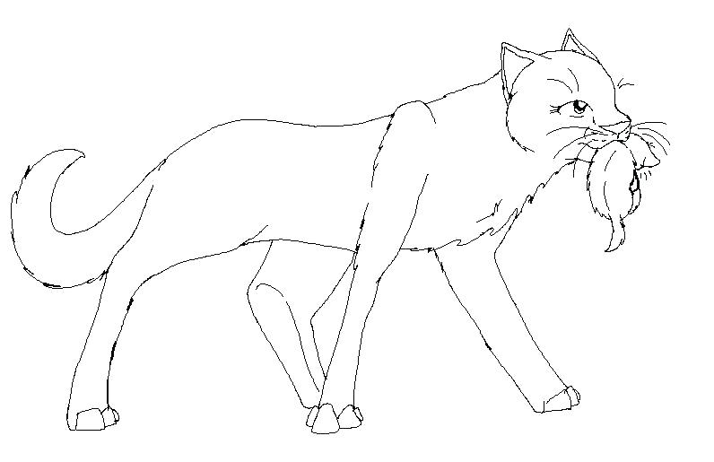 Cat Coloring Pages Online Free Coloring Warrior Cats Couples 796x515 Cat Coloring Pages Online Free Coloring Warrior Cats Couples