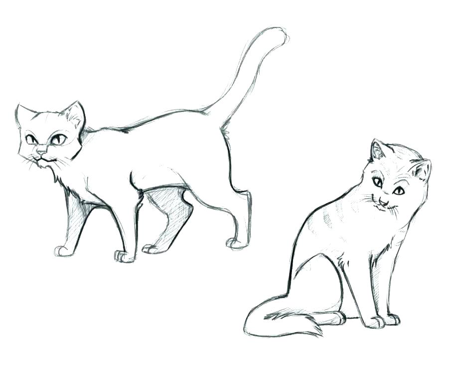 Cat Coloring Pages Online Warrior Cat Coloring Pages Color Pages 909x761 Cat Coloring Pages Online Warrior Cat Coloring Pages Color Pages