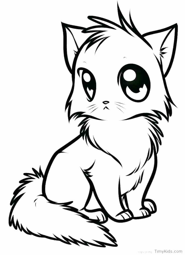Cat Coloring Pages Online 736x1014 Cat Coloring Pages Online