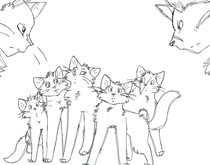 Cat Coloring Pages Online 678x534 Cat Coloring Pages Online