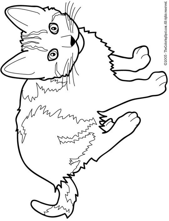 Cat Color Pages Printable Cat Free Printable Coloring Pages 540x706 Cat Color Pages Printable Cat Free Printable Coloring Pages