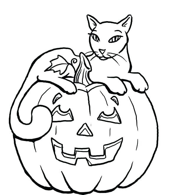 Coloring Pages Cats 580x664 Coloring Pages Cats