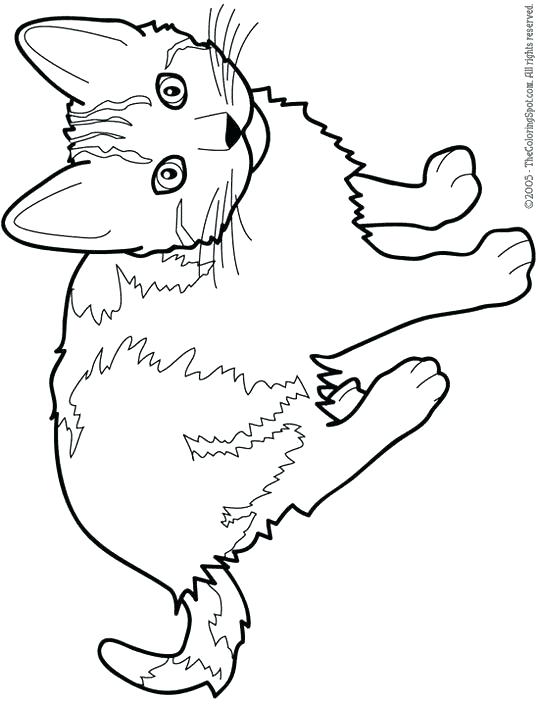 Cat Coloring Pages Printable Free at GetColorings.com | Free printable ...