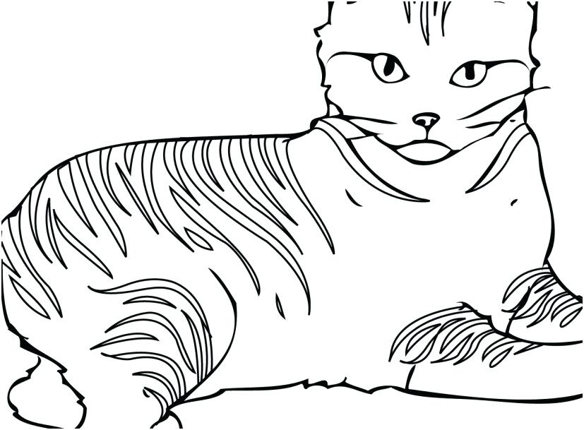 Cat Coloring Books Cat Coloring Pages Free Printable For Kids Cat 827x609 Cat Coloring Books Cat Coloring Pages Free Printable For Kids Cat